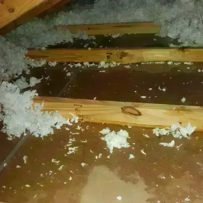 Attic Water Damage in Russells Point, OH